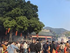 -悦城龙母祖庙