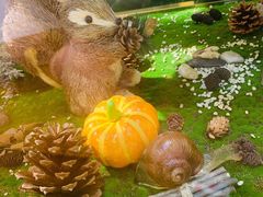 -初拾·花里餐厅(钜城华亿店)