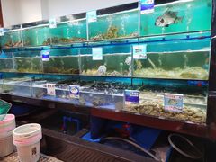 水产区-南海渔家•海鲜•正宗海南菜(海棠湾店)
