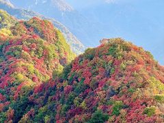 -秦岭终南山世界地质公园翠华山景区