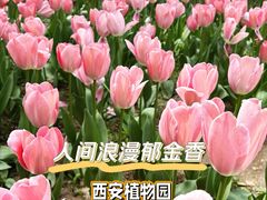 -陕西省西安植物园