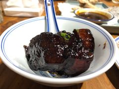 -椿不老