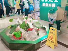 -马家斑.鲜鱼火锅(松湖万科店)