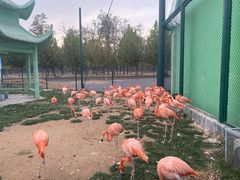 -秦皇岛野生动物园