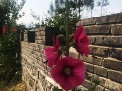 -蟠龙山长城景区