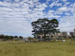 -风云岭森林公园