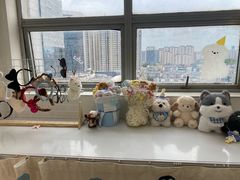 -汪说·狗咖·拼豆·宠物周边DIY(旺城大厦店)