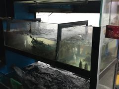 -全乐鱼馆·淳牌有机鱼直营店
