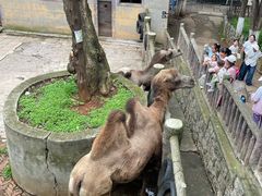 -昆明动物园