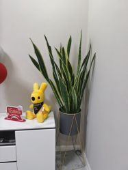 -丽都整形美容医院·全国连锁旗舰店