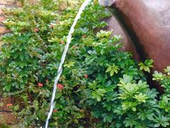 -雅安楠水阁温泉酒店