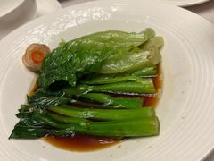-粤江春·早茶·潮粤菜·宴会(罗湖宝能中心店)