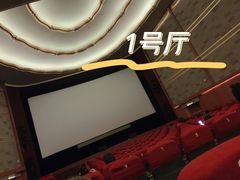 -大光明电影院(南京西路店)