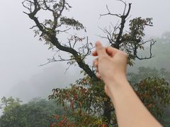 -青城山