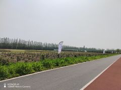 -上海长兴岛郊野公园