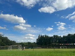 -上海共青森林公园