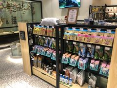 -momokira米努特·德文卷毛猫·棉花面纱犬