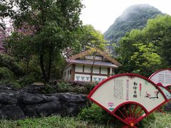 -柳州市动物园