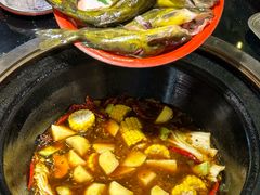 -刘淑芬·活鱼铁锅炖(北京首店)