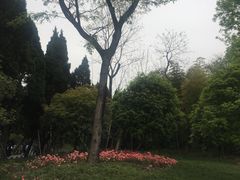 -两河城市森林公园
