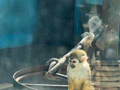 -秦皇岛野生动物园