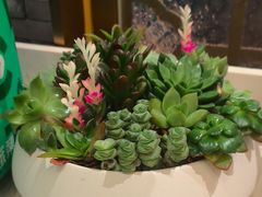 -新雅粤菜馆(南京东路店)