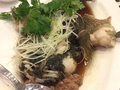 -新加坡海鲜共和(名胜世界圣淘沙海滨坊)