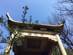 -白马涧龙池景区