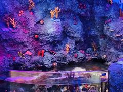 -沈阳海洋探索中心