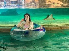 -新加坡水上探险乐园