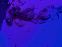 -唯爱KTV聚会餐厅(仙林东城汇店)