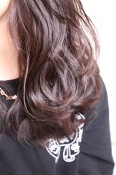 中发-CARR SALON