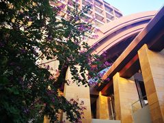 -三亚湾海居铂尔曼度假酒店