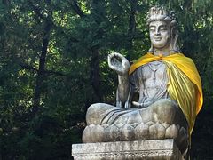 -北京十三陵国家森林公园蟒山景区