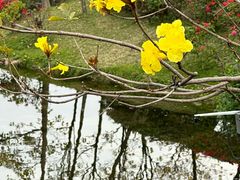 -荔湾湖公园