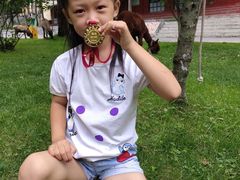 -洛阳白云山景区