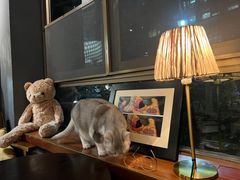 -咖法森林·咖啡  酒吧(天河店)