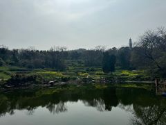 -巢湖姥山岛