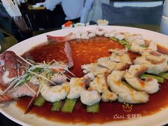 -甄御•海鲜新青岛菜(麦岛店)