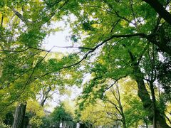 -西园戒幢律寺