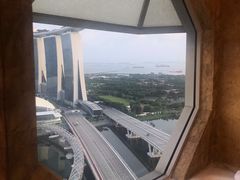 -新加坡丽思卡尔顿美年酒店