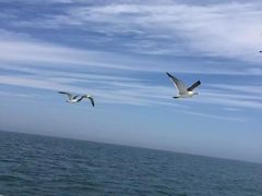 -海驴岛(荣成市)