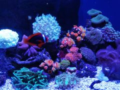 -成都浩海立方海洋公园