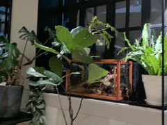 -一尺花园(安和花园店)