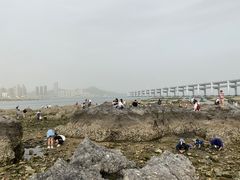 -黑石礁公园