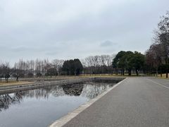 -尚贤河湿地