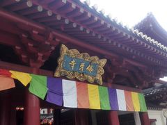 -新加坡佛牙寺龙华院