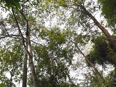 -火炉山森林公园
