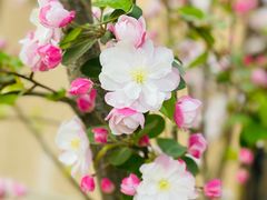 -春晖园度假酒店温泉