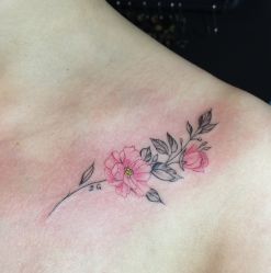 -Black Tattoo Studio